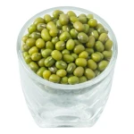 Top Quality Green Mung Beans Fresh Natural Mung Beans Bulk Supply From Trusted Farm Suppliers For Sale