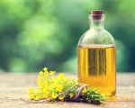 Wholesale Supply of Rapeseed Oil – Refined and unrefined