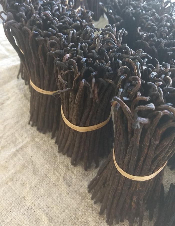 Buy Madagascar Grade A Vanilla Beans from Société Riavanille Sarl ...