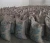 Import Coffee Arabica from Ethiopia