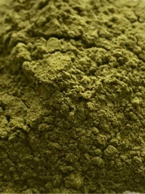Natural Katam Powder "buxus dioica "