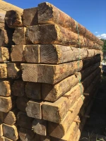 Premium Ponderosa Pine Logs Bulk Supply High Quality Timber Export Grade Material