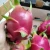 Import SELL FRUITS EXOTICS . RED PITAYA  - PASSION FRUIT - YELLOW PITAYA - GRANADILLA - ORIGIN ECUADOR from Ecuador