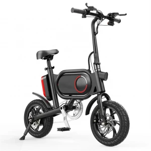 OEM Electric Bicycle 12 Inch Electric Bike Two Disc Brake Electric Bicycle For Adult