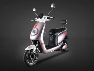 ELECTRIC MOTORCYCLE AND SCOOTER-TSLD-2