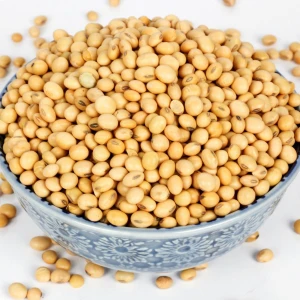 SOYABEANS / SOYBEANS MEAL