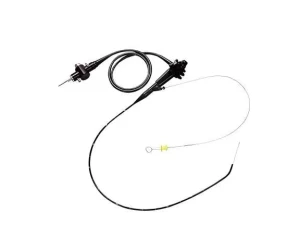 Veterinary Gastroscope