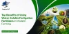 Magnesium Thiosulphate