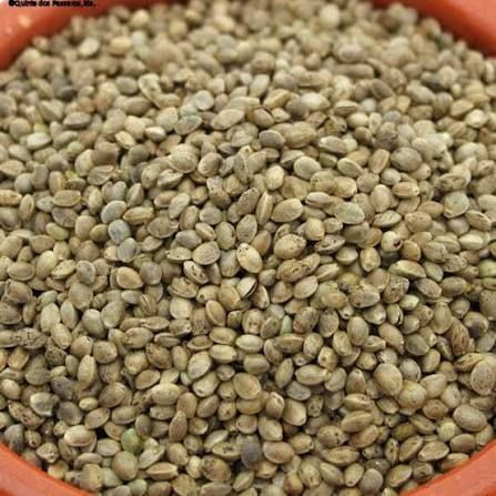 Buy Sesame Seed ‎ ‎hibiscus ‎ ‎clove ‎ ‎ginger ‎ ‎garlic ‎ ‎turmeric ...