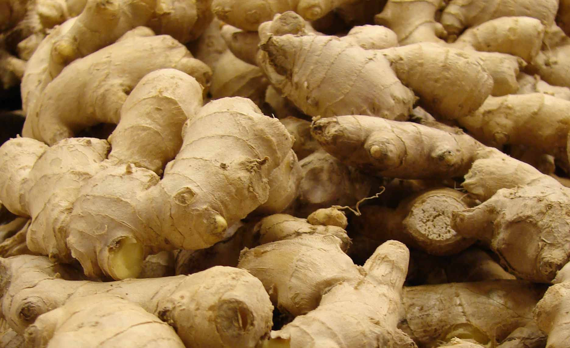 Buy Sesame Seed ‎ ‎hibiscus ‎ ‎clove ‎ ‎ginger ‎ ‎garlic ‎ ‎turmeric ...