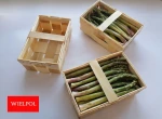 Asparagus packaging. Sales.