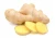 Import Fresh ginger, semi-dried ginger, air dried ginger from China