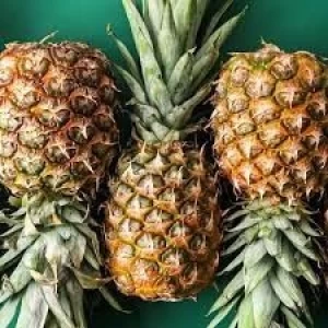 Wholesale High Quality Natural Taste Fresh Pineapple from Belgium