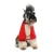 Import Wholesales Pet Dog Custom Clothes Plain blank Dog Hoodie from China