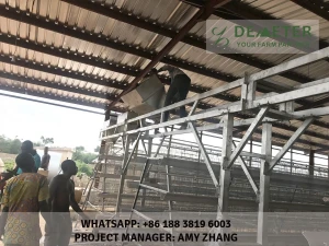 Layer chicken cage for poultry farming in nigeria