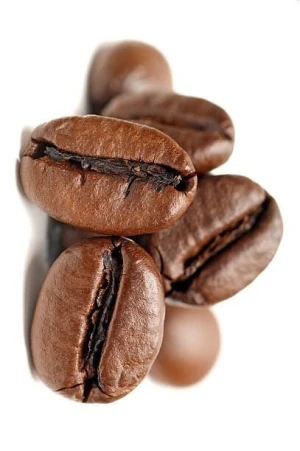 Green & Roasted | Bulk Wholesale Export | High-Caffeine Coffee