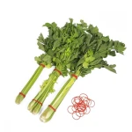 Best selling environmentally friendly pure rubber 1 inch diameter transparent red rubber band