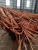 Import Copper Wire Scrap Millberry/Copper Wire Scrap 99.9% copper wire from China
