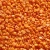 Import Red lentils for export From Canada from India