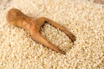 High Quality Natural Organic Sesame Seeds