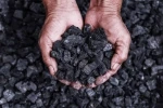 Best Quality Coal
