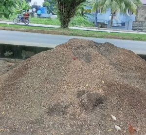 Palm Kernel Shells