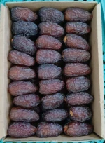 مصر