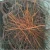 Import Insulated Copper Wire Cable Scrap from Germany