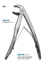 extracting forcep