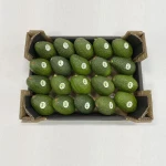 Hass Avocados