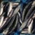 Import Best Quality Norway Mackerel Fish from Norway