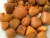 Import Quality Cow Gallstones / Ox Gallstones for sale very good price from South Africa
