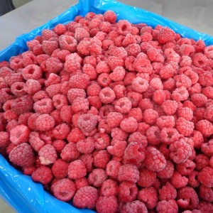 Sell in bulk frozen raspberry