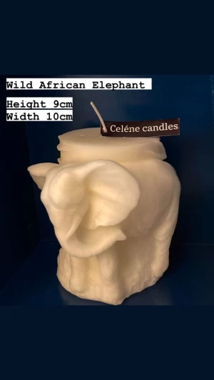 Wild African Elephant Candles