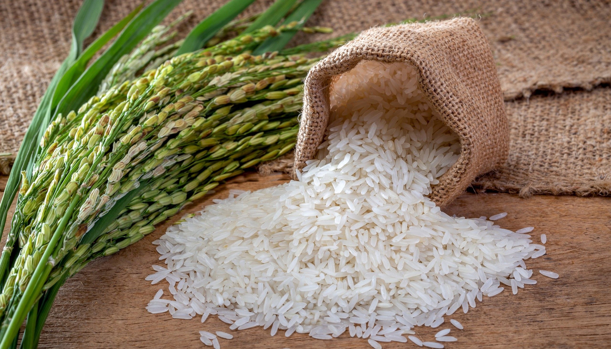Buy Premium Quality Jasmine Rice Grade A from Bright Future Exterprise ...