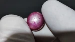Certified Natural Star Ruby for Sale - 14.02 ct