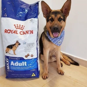 Manufacturer Wholesale 100g Bags Pet Food Royal Canin Dog Food FOR SALE
