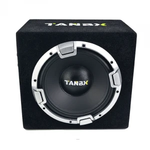 10 inch  trapezoidal car active  subwoofer  big bass car audio subwoofer with box TB-1390