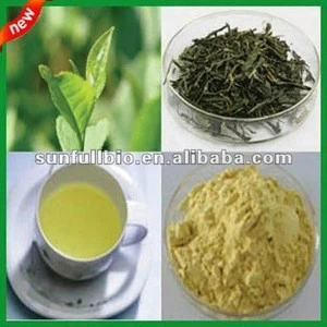 100% natural White Tea powder