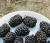 Import 100 Seeds Hybrid Black Raspberry Seedlings For Planting from China