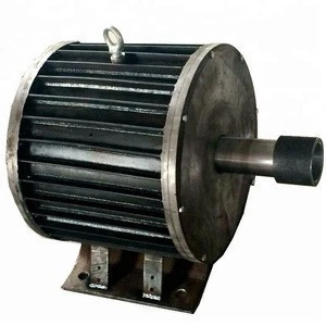 1000w Permanent Magnet Generator/AC Motor