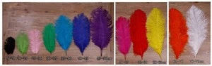 13colors ostrich feathers for wedding/carnival party decoration