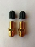 1/8 inch NPT Brass Air Compressor Tank Fill Valve Schrader