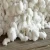 Import 1st Grade and Premium Grade Cotton Cotton for Sale from United Kingdom
