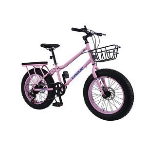 Buy 20 Inch Child Bike Fat Tire Bike Student Bicycle Al Frame Oem