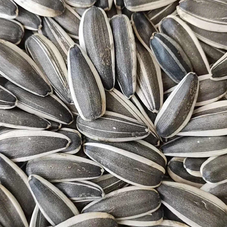 2020 High Performance Raw Natural Chinese wholesale sunflower black seeds
