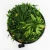 Import 3D artificial plastic vertical green plant wall with wooden frame from China
