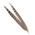 Import 50-55 Gold Seller Best Selling Cheap Large Natural Reeves Pheasant Tail Feathers from China