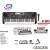 Import 61 key electronic organ with microphone from China