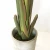 Import 65 Tall Tropical Artificial Plants Travellers Banana Tree for Hotel Decoration from China